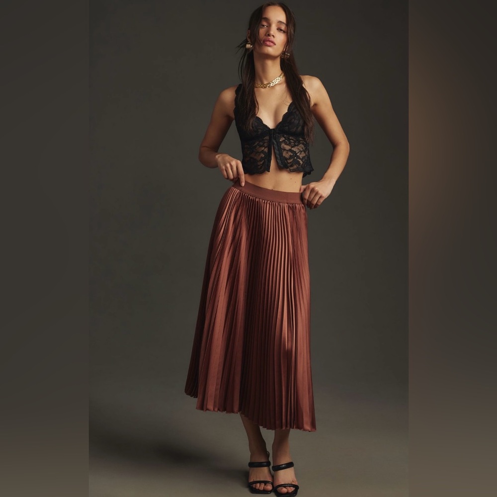 Anthropologie Pleated Midi Skirt size 1X EUC